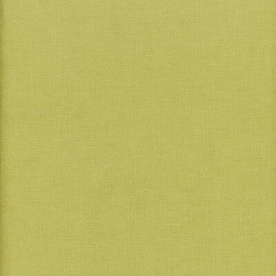 AM100346-323 BEAGLE LIZARD KRAVET COUTURE Fabrics Drapery Upholstery