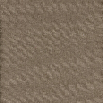 AM100346-6 BEAGLE PAMPAS KRAVET COUTURE Fabrics Drapery Upholstery