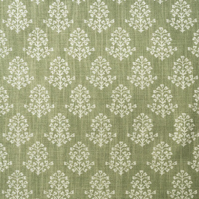 AM100384-123 SPRIG FENNEL KRAVET COUTURE Fabrics Drapery Upholstery