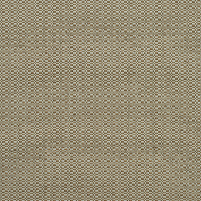 AM100390-624 BIRCH AUTUMN KRAVET COUTURE UPHOLSTERY