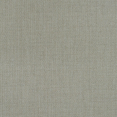 AM100391-106 BIRDS FOOT STONE KRAVET COUTURE UPHOLSTERY