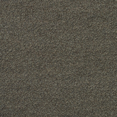 AM100394-166 FLEECE TRUFFLE KRAVET COUTURE UPHOLSTERY