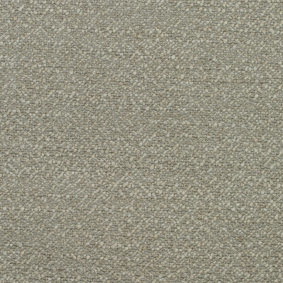 AM100399-16 SPECKLED EGG TWIG KRAVET COUTURE UPHOLSTERY