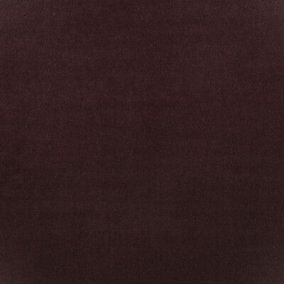 AM100443-10 MEDICI FIG KRAVET COUTURE UPHOLSTERY