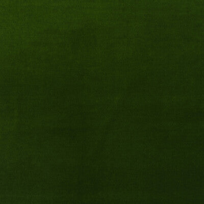 AM100443-3 MEDICI IVY KRAVET COUTURE UPHOLSTERY