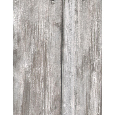 AMW10014-11 TIMBER LIMED KRAVET COUTURE Wallpaper