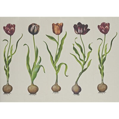 AMW10067-310 TULIPS 310 KRAVET COUTURE Wallpaper
