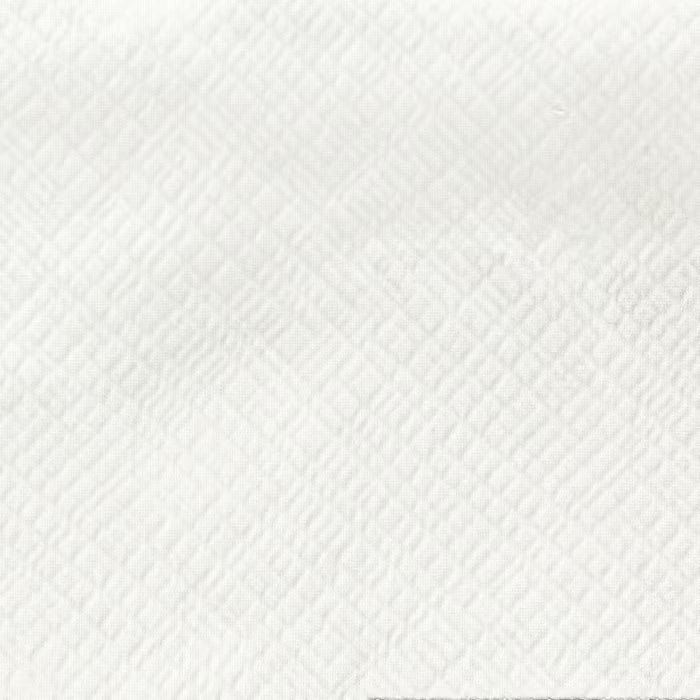 ASLA-1 STOUT ASLAN 1 PEWTER PEWTER DRAPERY