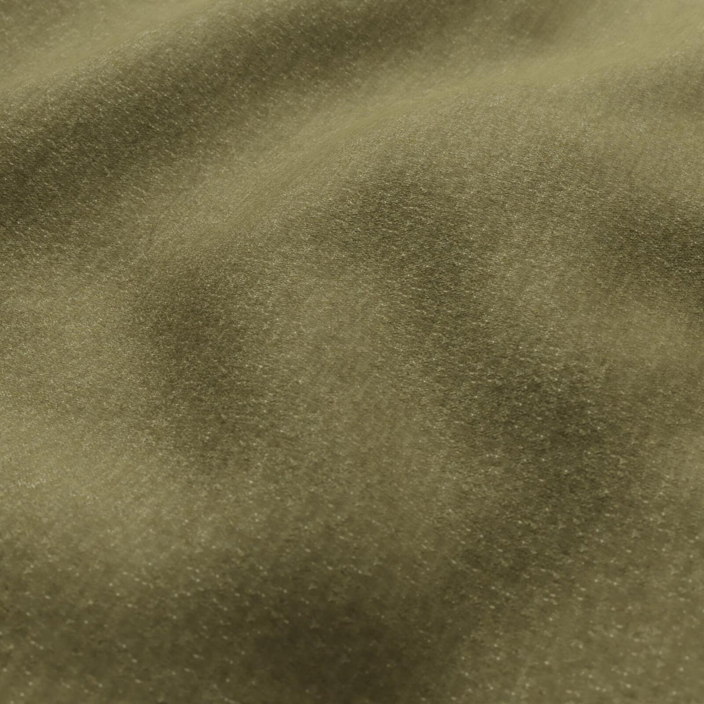 AT9809 Maxwell CHENILLES SOLIDS/TEXTURES # 809 MOSS CURLEDUPIX