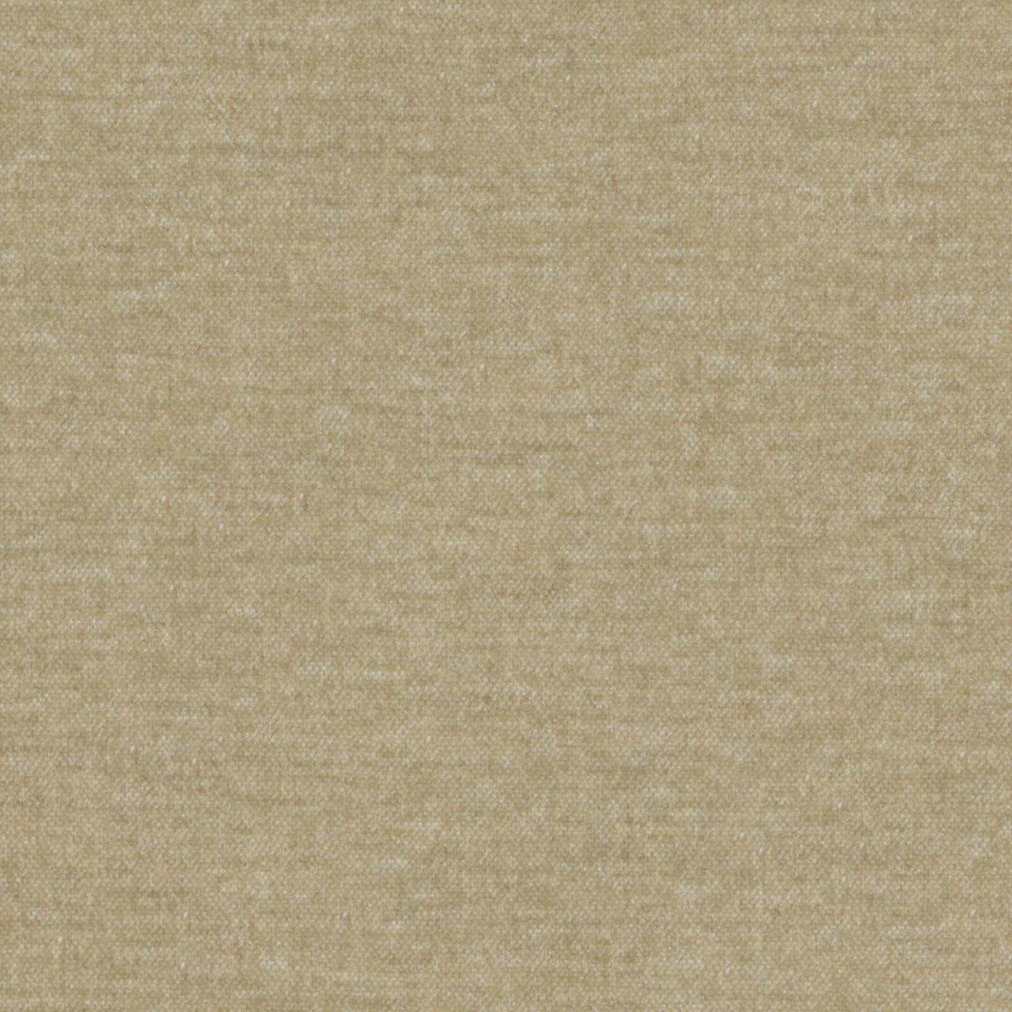 AT9820 Maxwell CHENILLES SOLIDS/TEXTURES # 820 PUTTY CURLEDUPIX