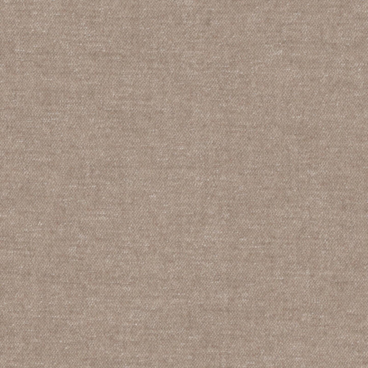 AT9822 Maxwell CHENILLES SOLIDS/TEXTURES # 822 DUNE CURLEDUPIX