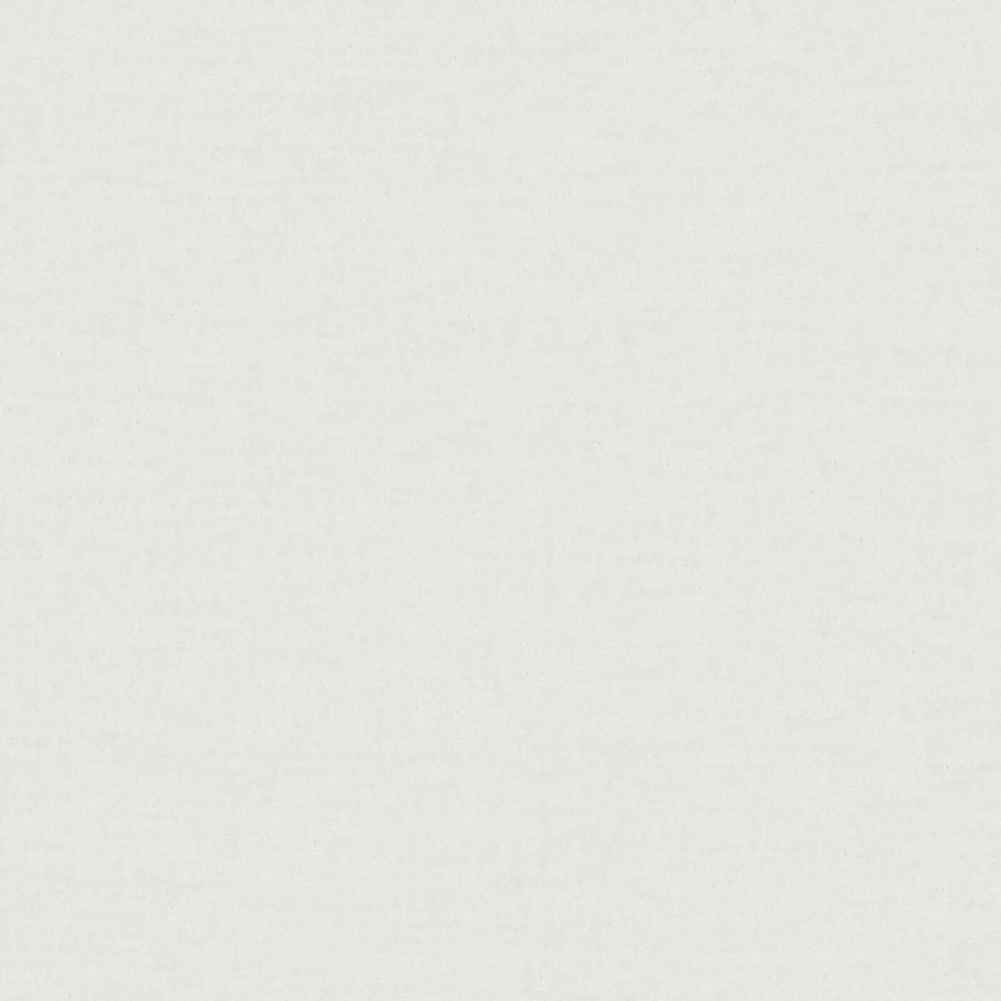 AT9825 Maxwell CHENILLES SOLIDS/TEXTURES # 825 SNOW CURLEDUPIX