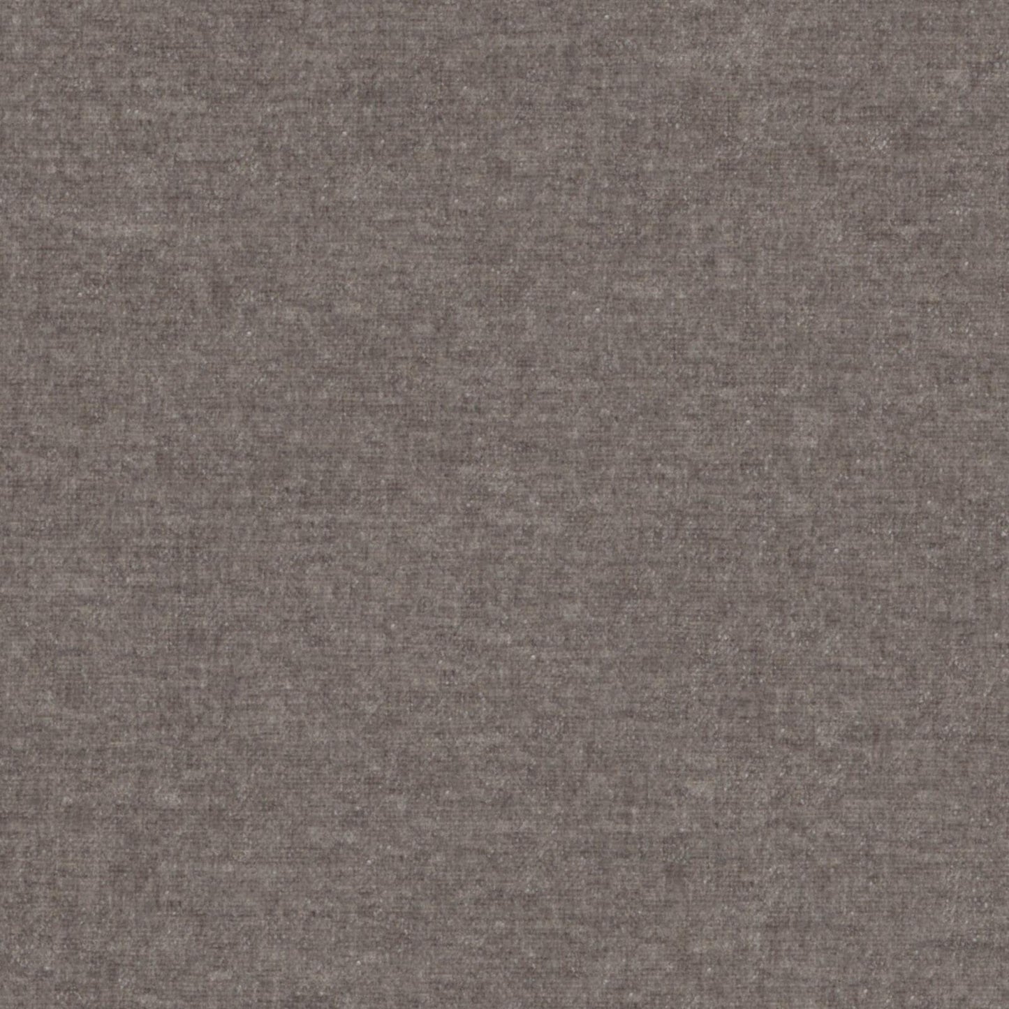 AT9847 Maxwell CHENILLES SOLIDS/TEXTURES # 847 DOVETAIL CURLEDUPIX
