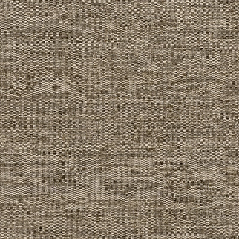 AW16117 Anna French Natural Fabric