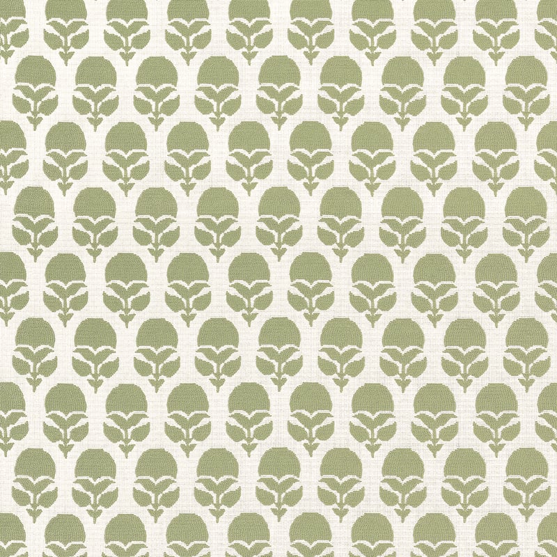 AW9228 Anna French Willow Fabric