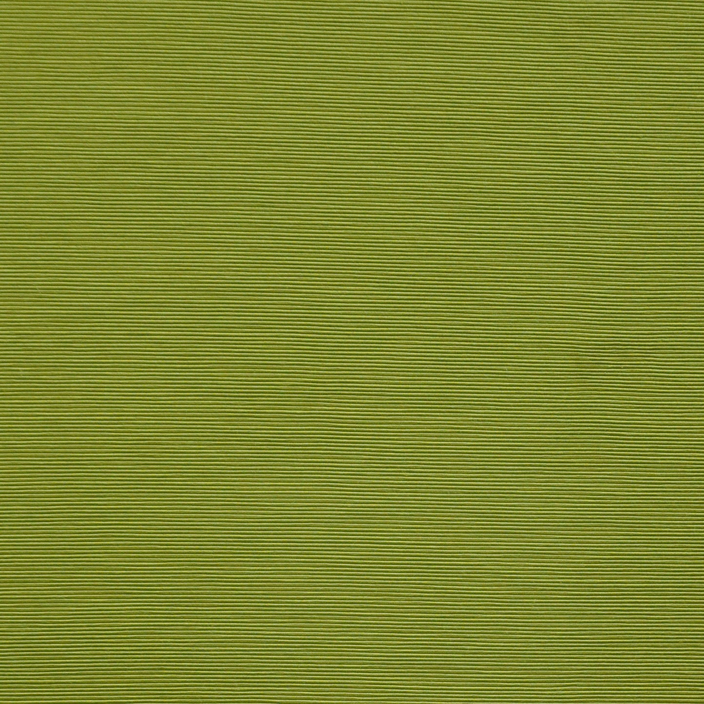 BCA024 Maxwell DRAPERY/MULTI- SOLID/TEXTURE # 24 SPROUT PURE&SIMPLEX