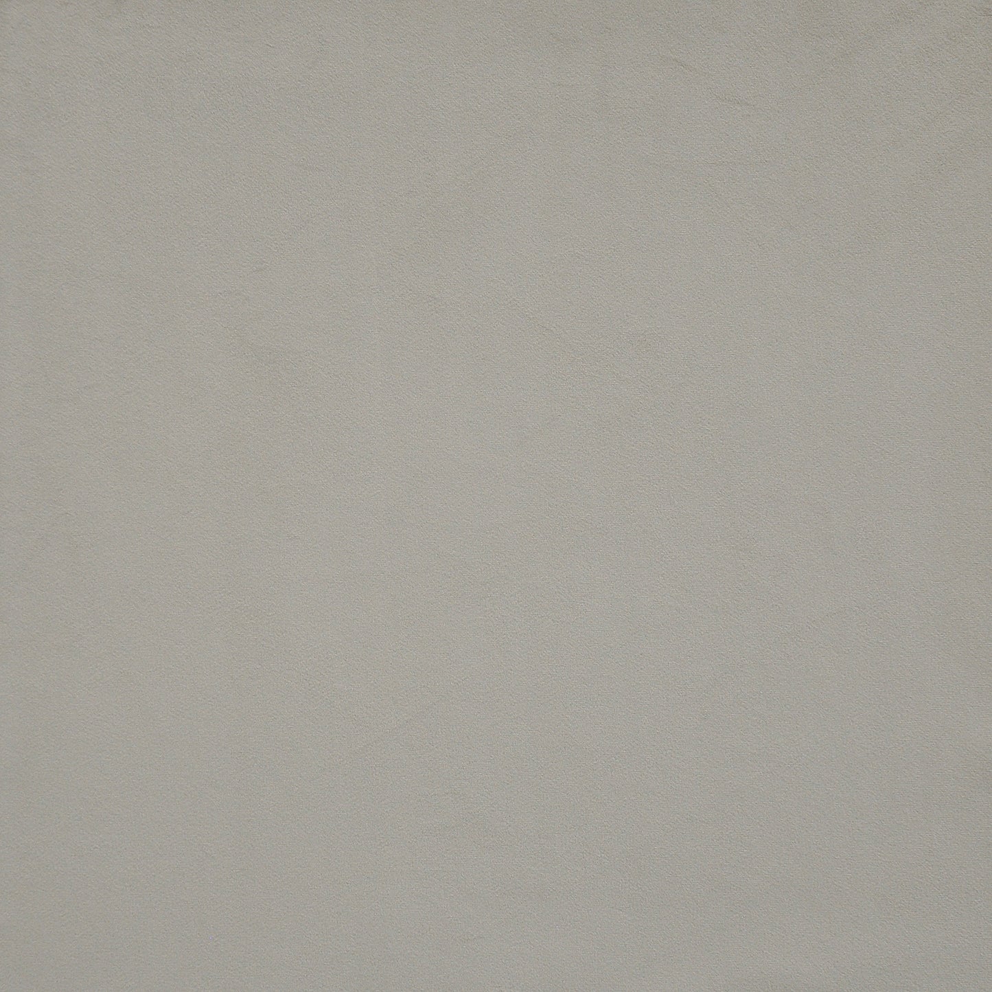 BCG777 Maxwell VELVET SOLID/TEXTURE # 777 DOVE VELVETROOM