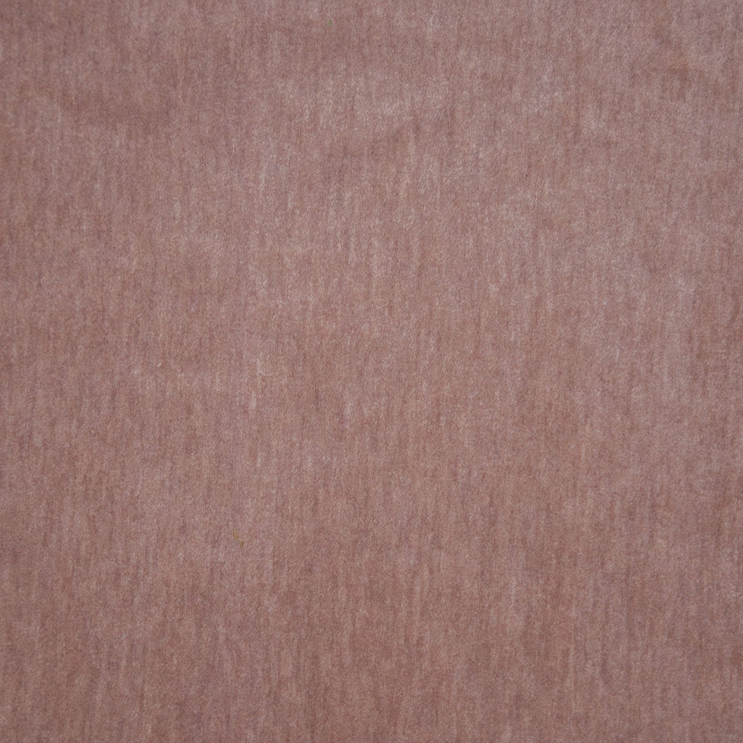 BEP114 Telafina VELVET SOLID/TEXTURE # 114 BALLERINA TELAXVI