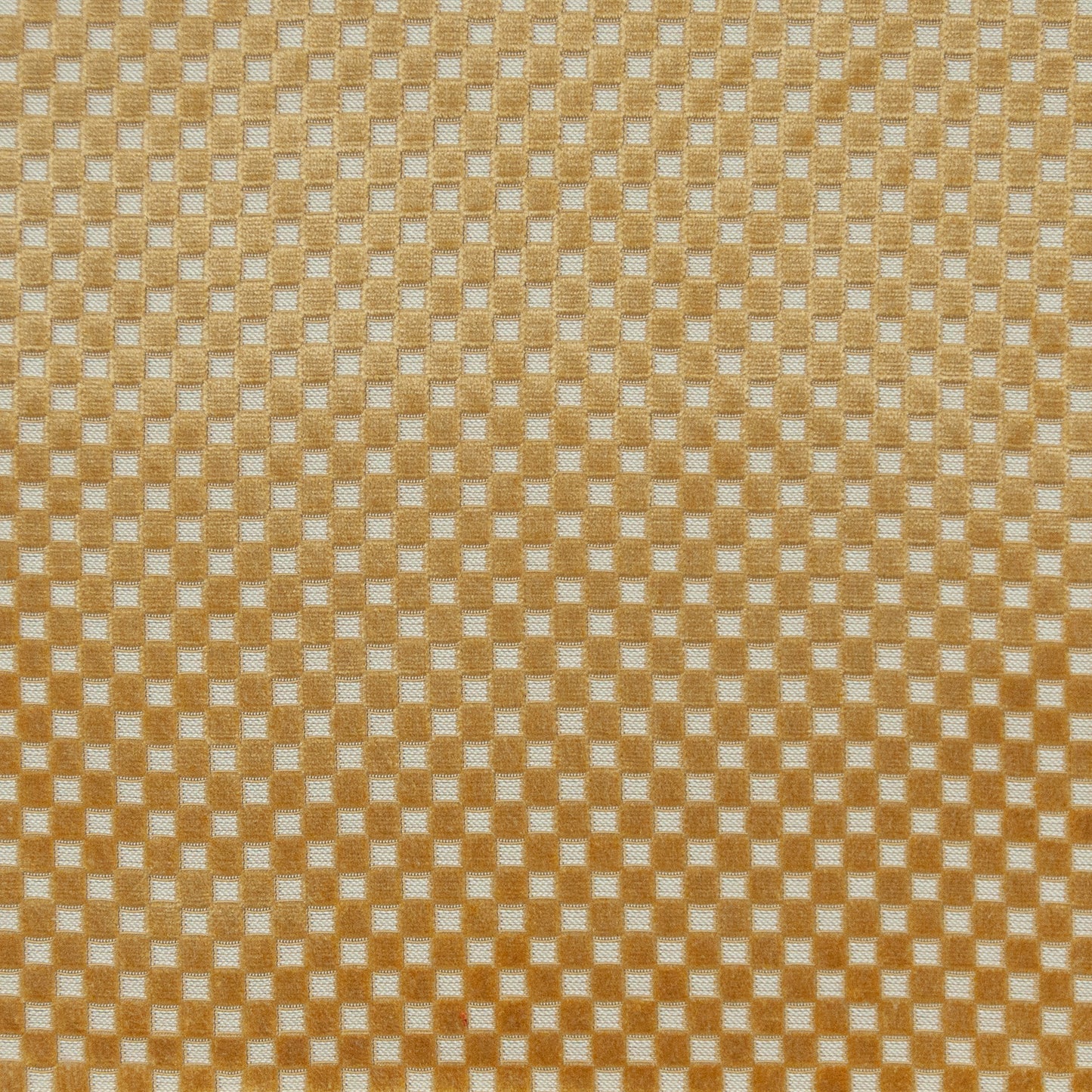 BEQ636 Maxwell VELVET PATTERN # 636 MIDAS PCVELVETS