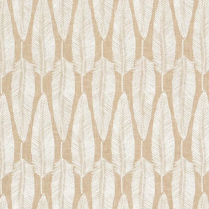 BEWI-1 STOUT BEWITCHED 1 BEIGE BEIGE DRAPERY