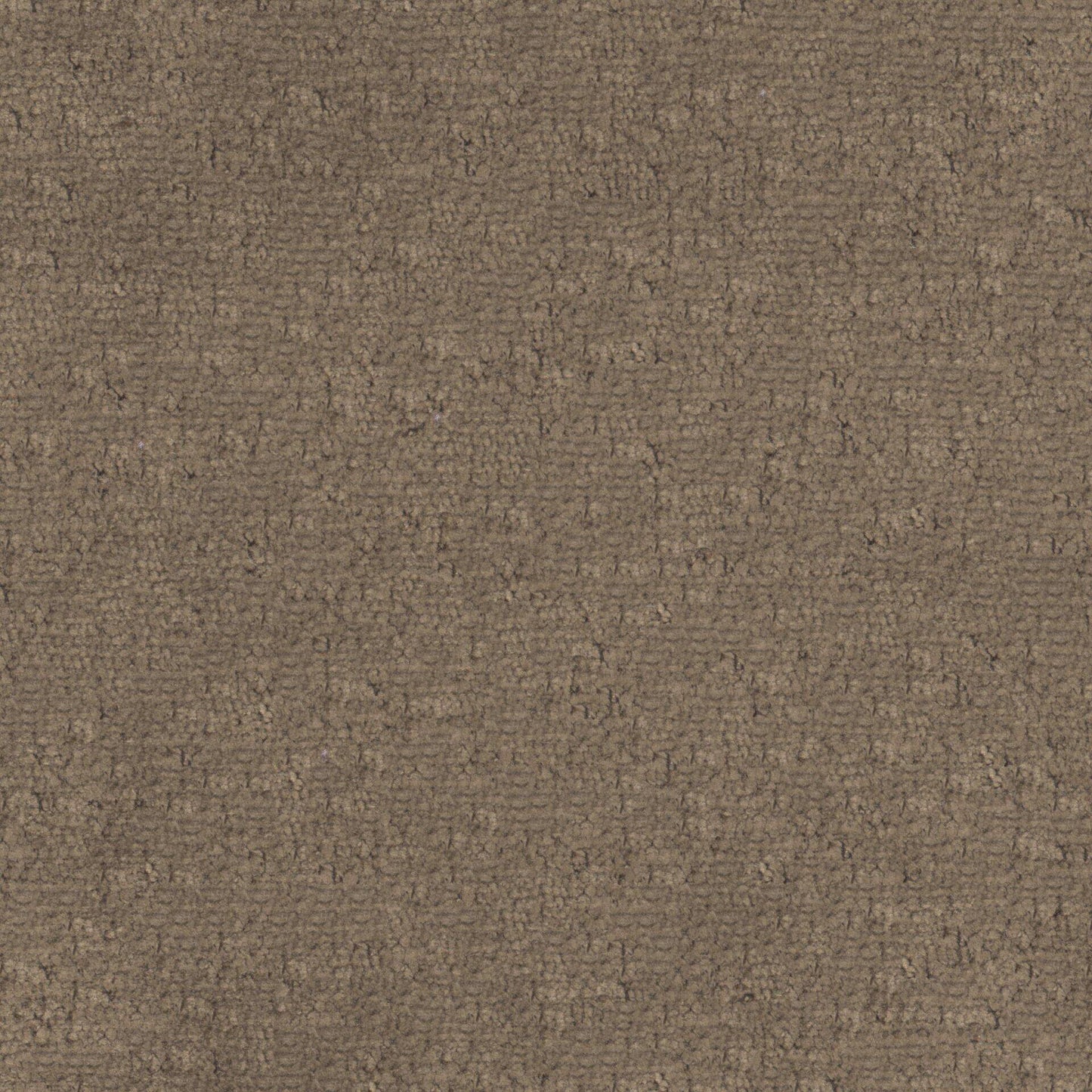 BFA810 Maxwell CHENILLES SOLIDS/TEXTURES # 810 BROWNIE CURLEDUPX