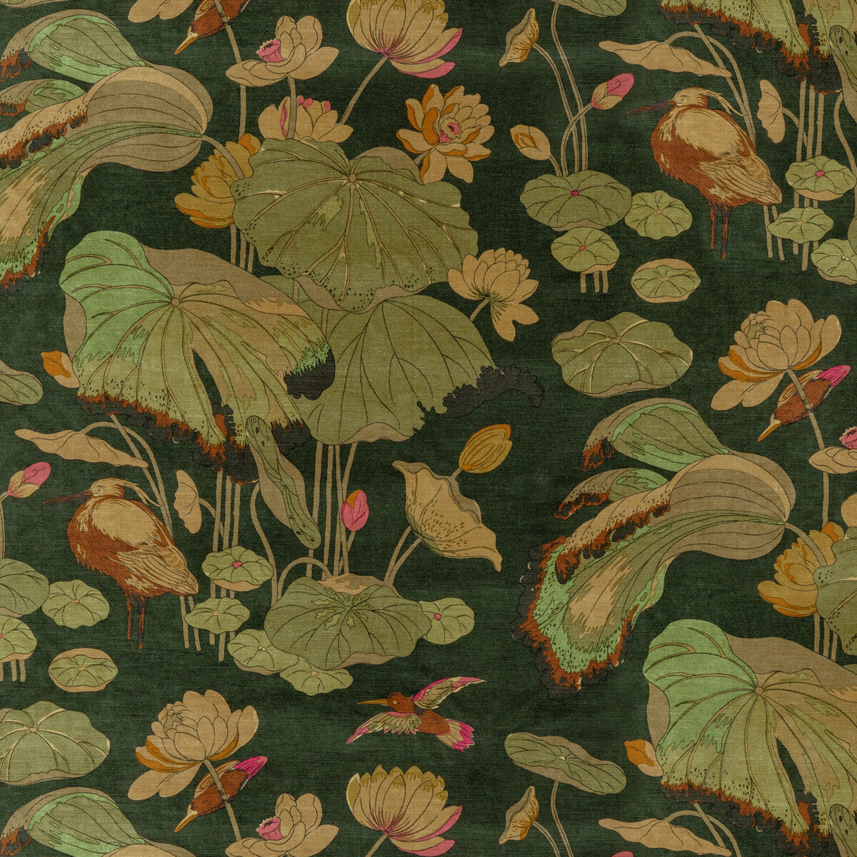BP10814-2 NYMPHEUS VELVET EMERALD G P & J BAKER Fabrics Drapery Upholstery