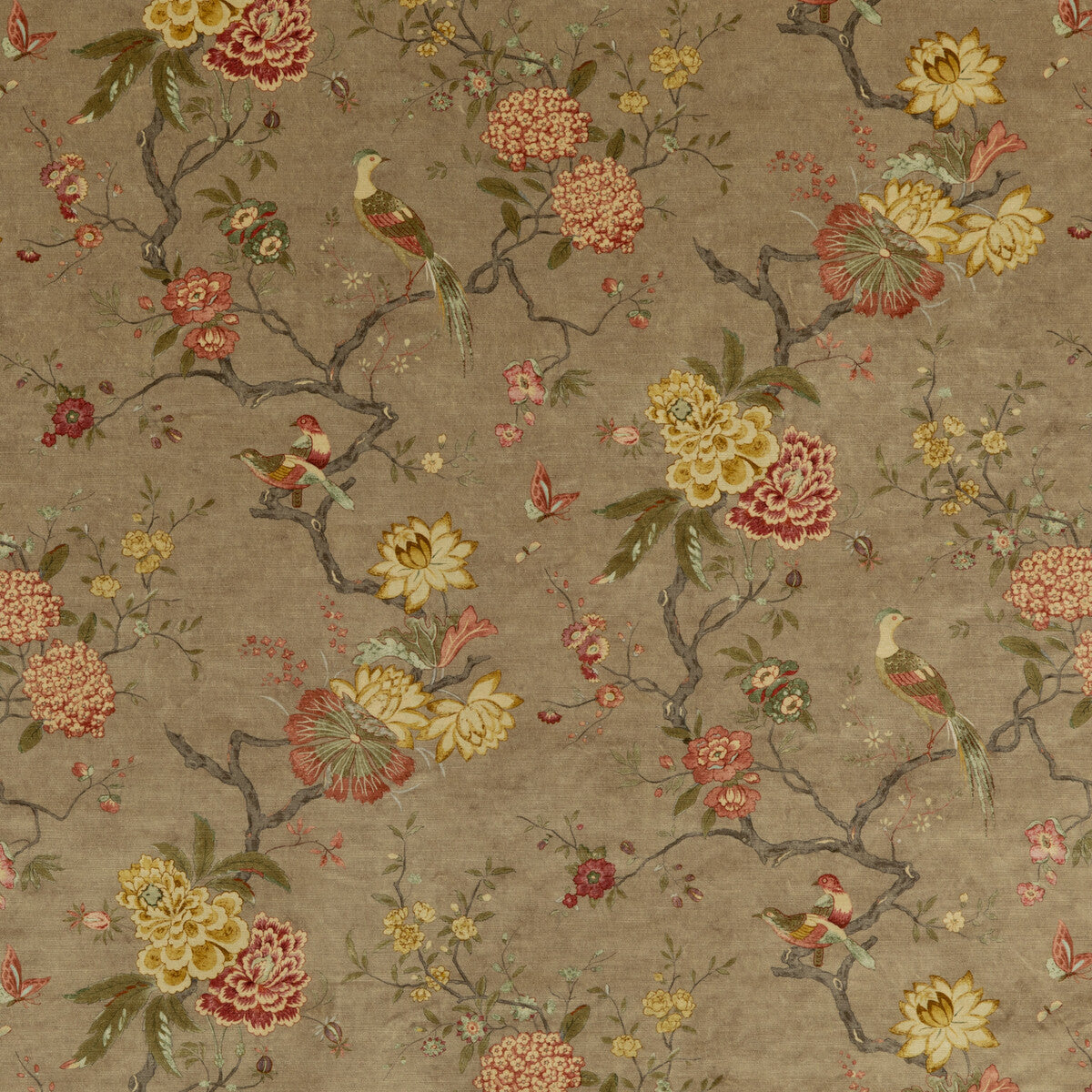 BP10818-1 ORIENTAL BIRD VELVET MOLE G P & J BAKER Fabrics Drapery Upholstery