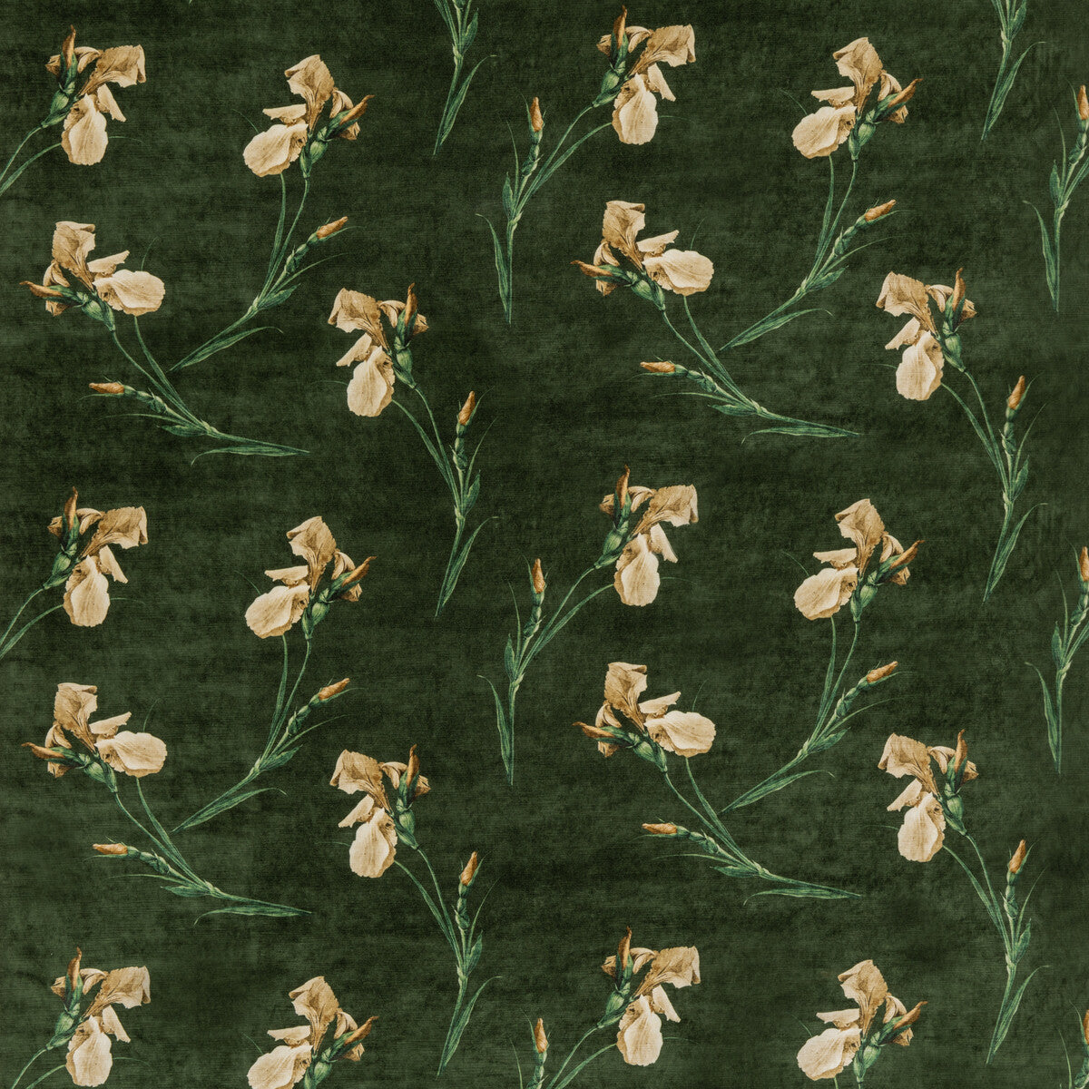 BP10819-2 BAKER IRIS EMERALD G P & J BAKER Fabrics Drapery Upholstery