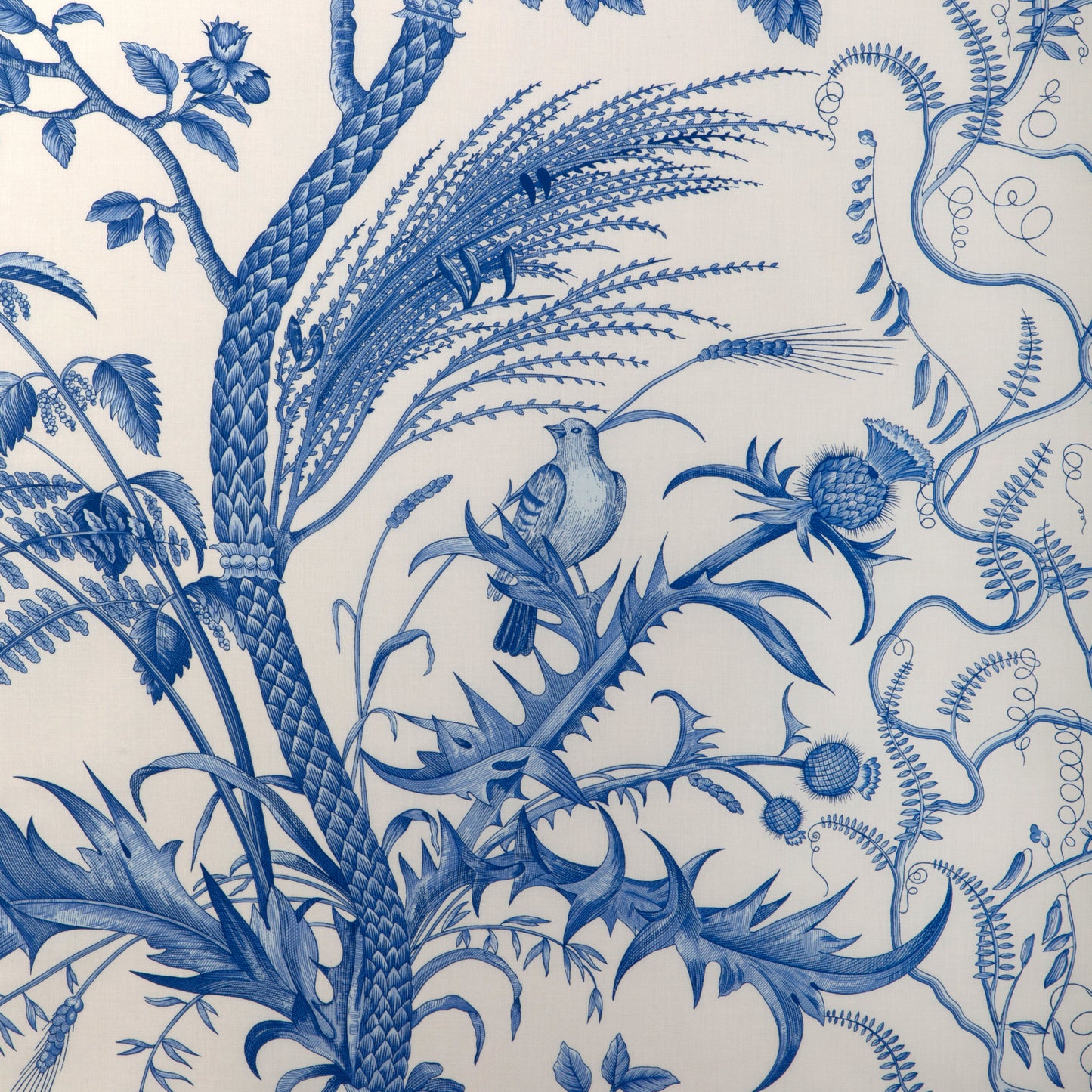 BR-79431-222 BIRD AND THISTLE COTTON PRINT BLUE BRUNSCHWIG & FILS
