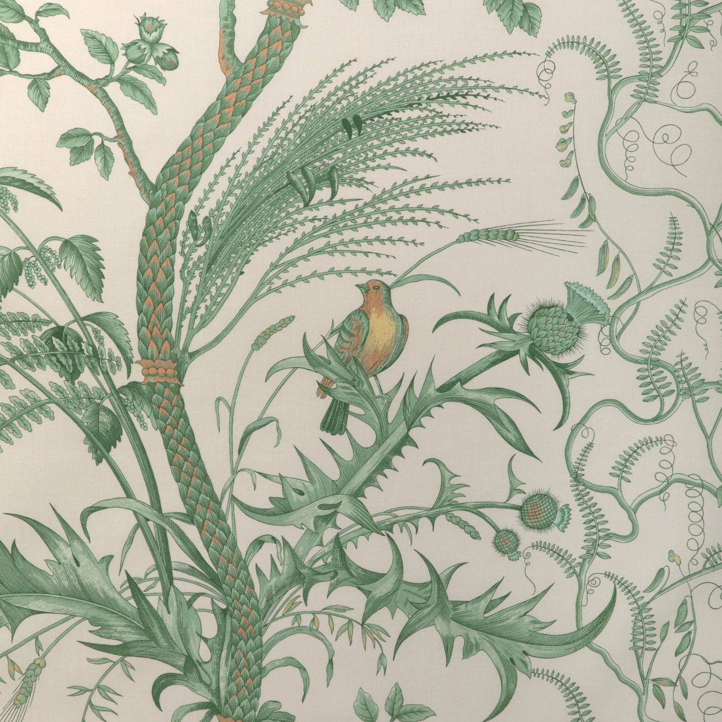 BR-79431-435 BIRD AND THISTLE COTTON PRINT GREEN BRUNSCHWIG & FILS