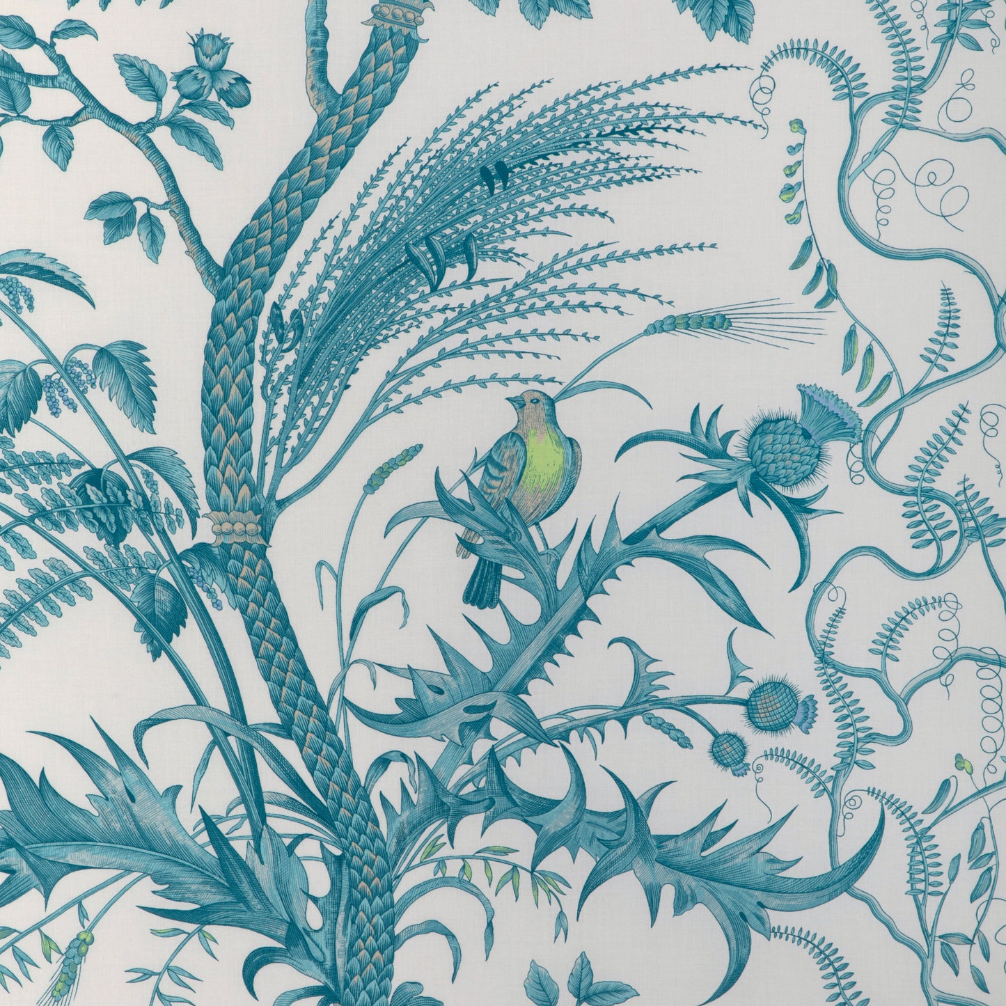 BR-79431-513 BIRD AND THISTLE COTTON PRINT AQUA BRUNSCHWIG & FILS