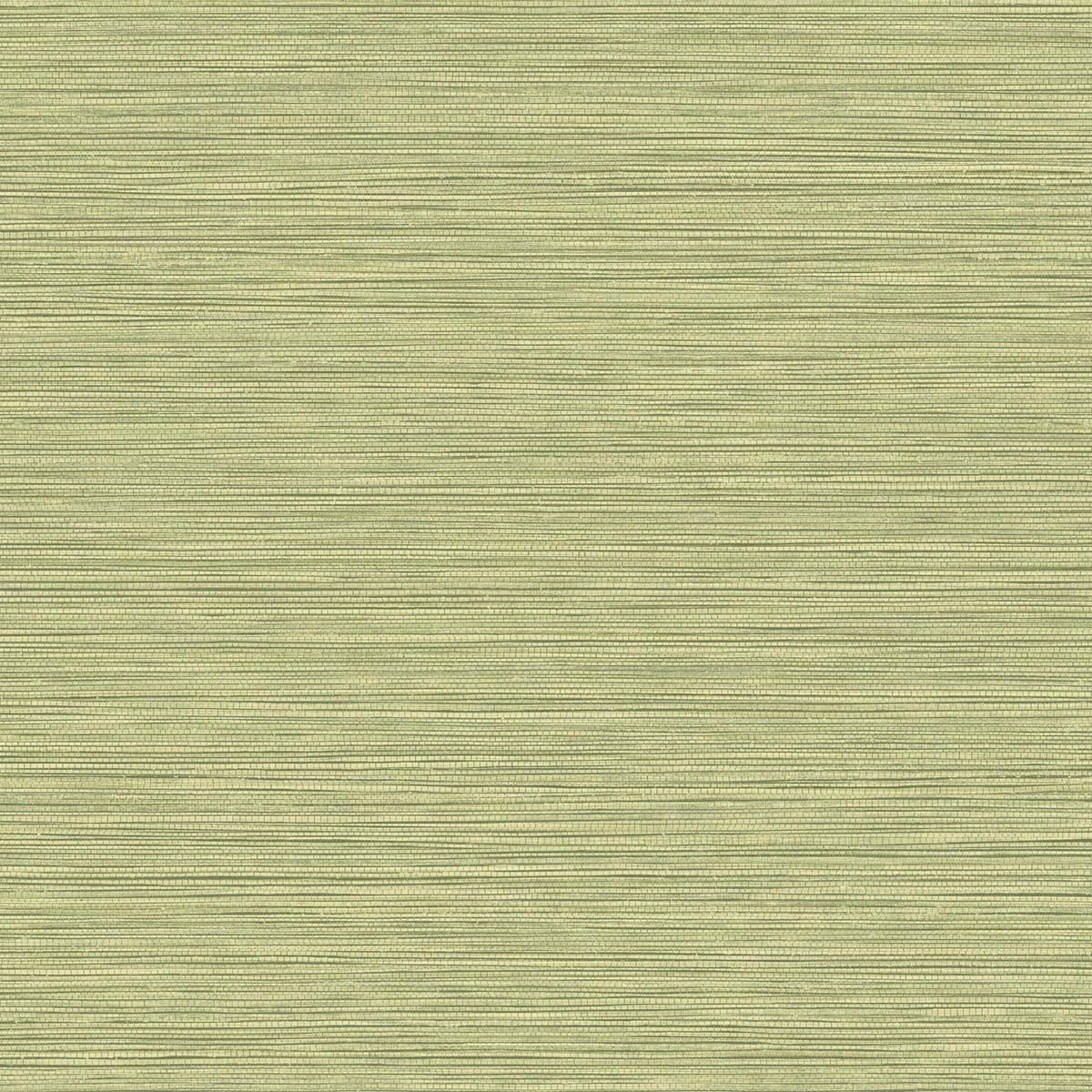 BV30104 Seabrook Designs Texture Gallery Wallpaper Grasslands Lime Moss