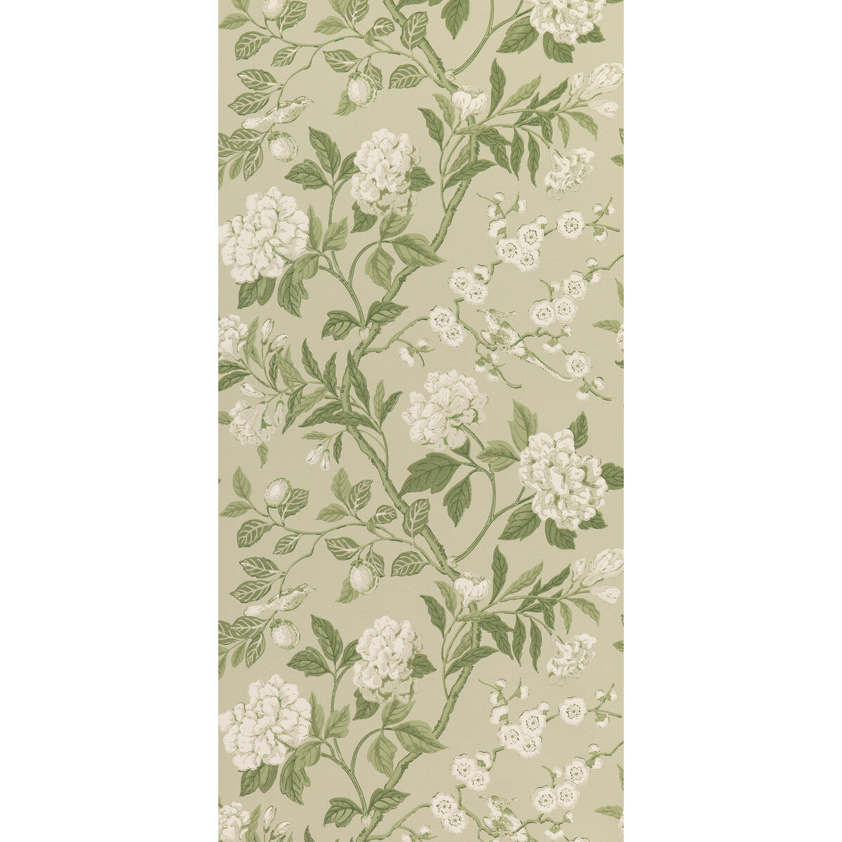 BW45000-10 EMPEROR'S GARDEN SOFT GREEN G P & J BAKER Wallpaper
