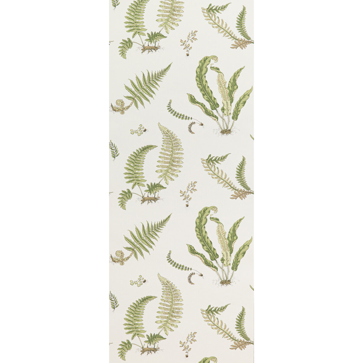 BW45044-10 FERNS LEAF G P & J BAKER Wallpaper