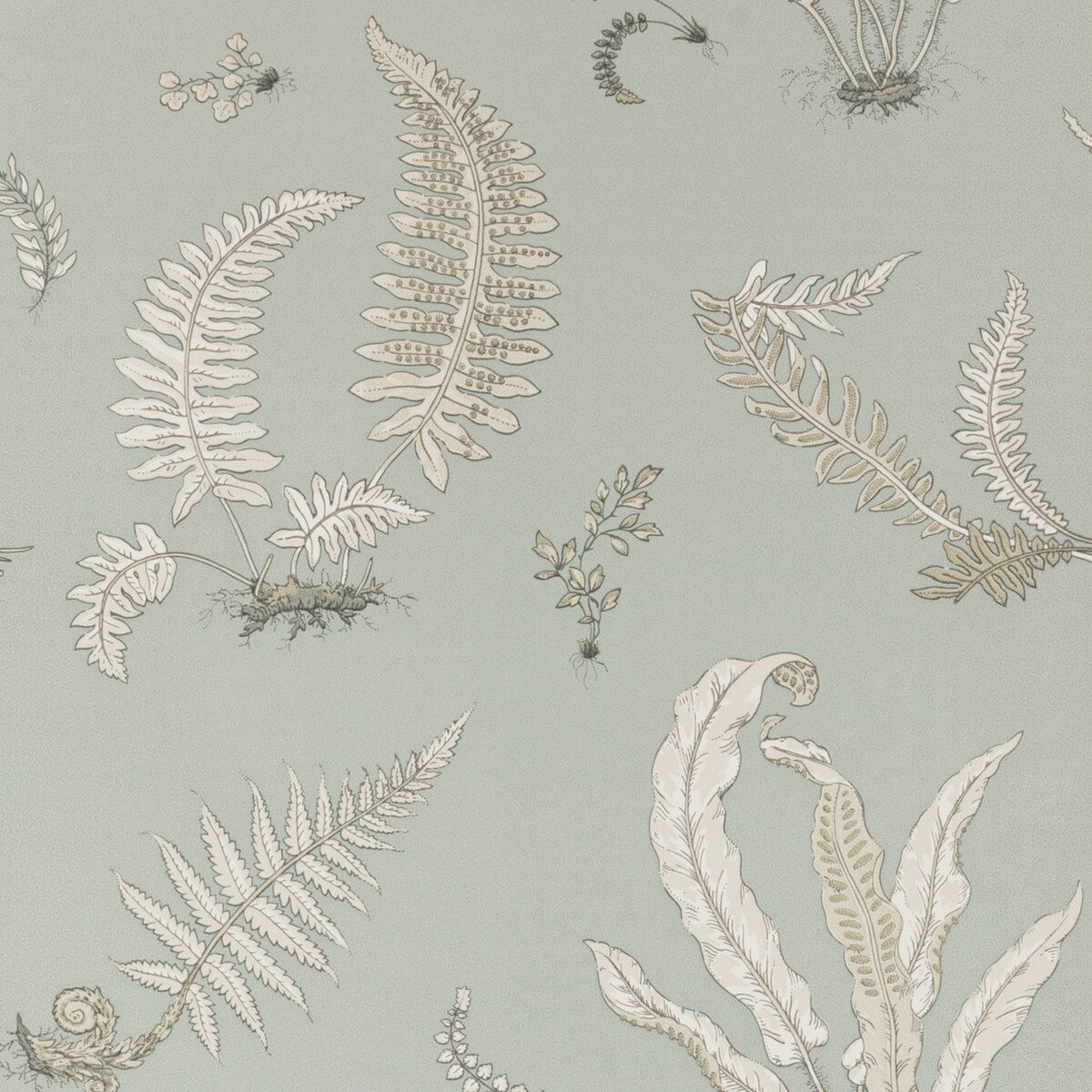 BW45044-7 FERNS SOFT BLUE G P & J BAKER Wallpaper