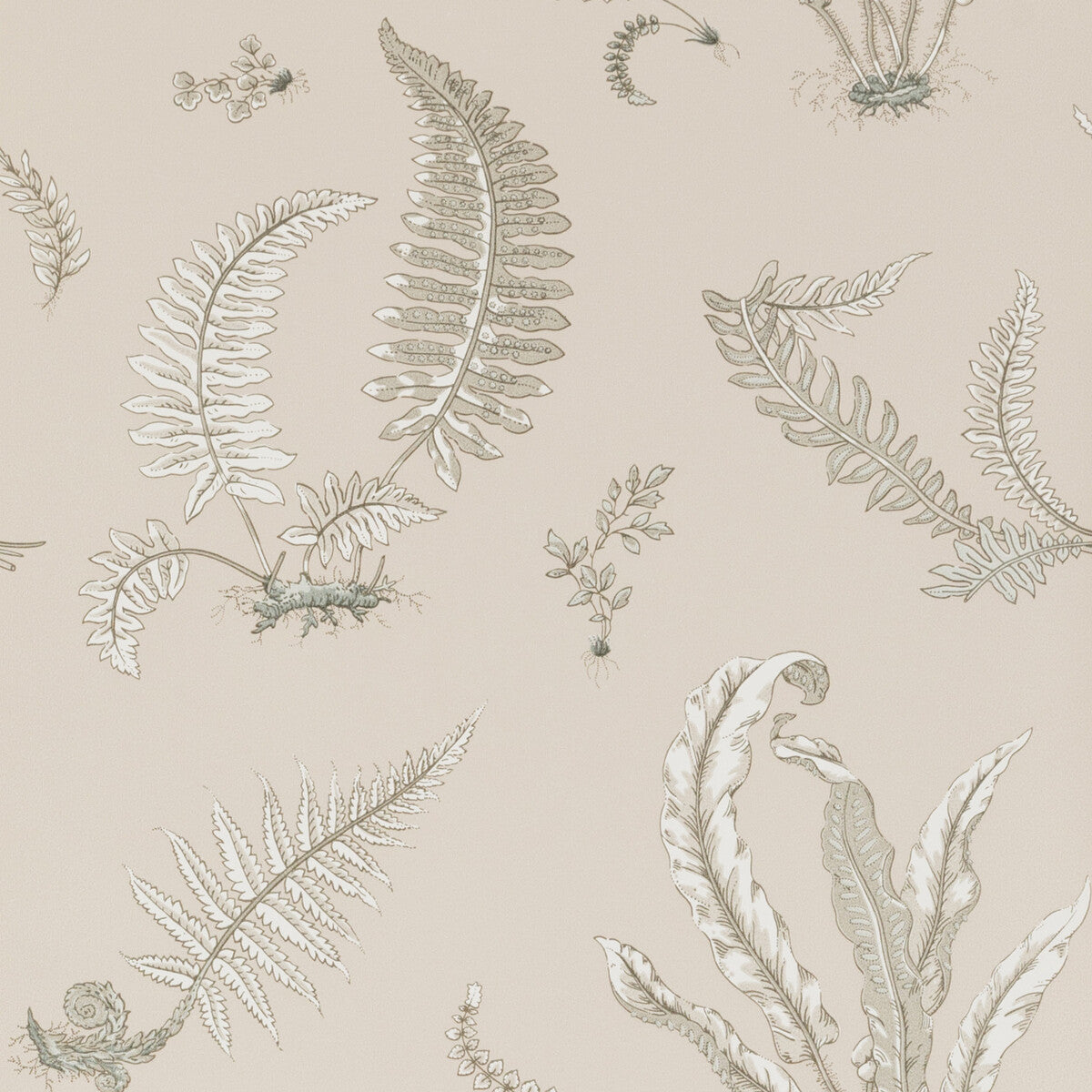 BW45044-8 FERNS LINEN G P & J BAKER Wallpaper