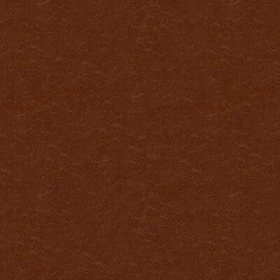 CAPTURED-606 CAPTURED CAPPUCIO KRAVET COUTURE UPHOLSTERY