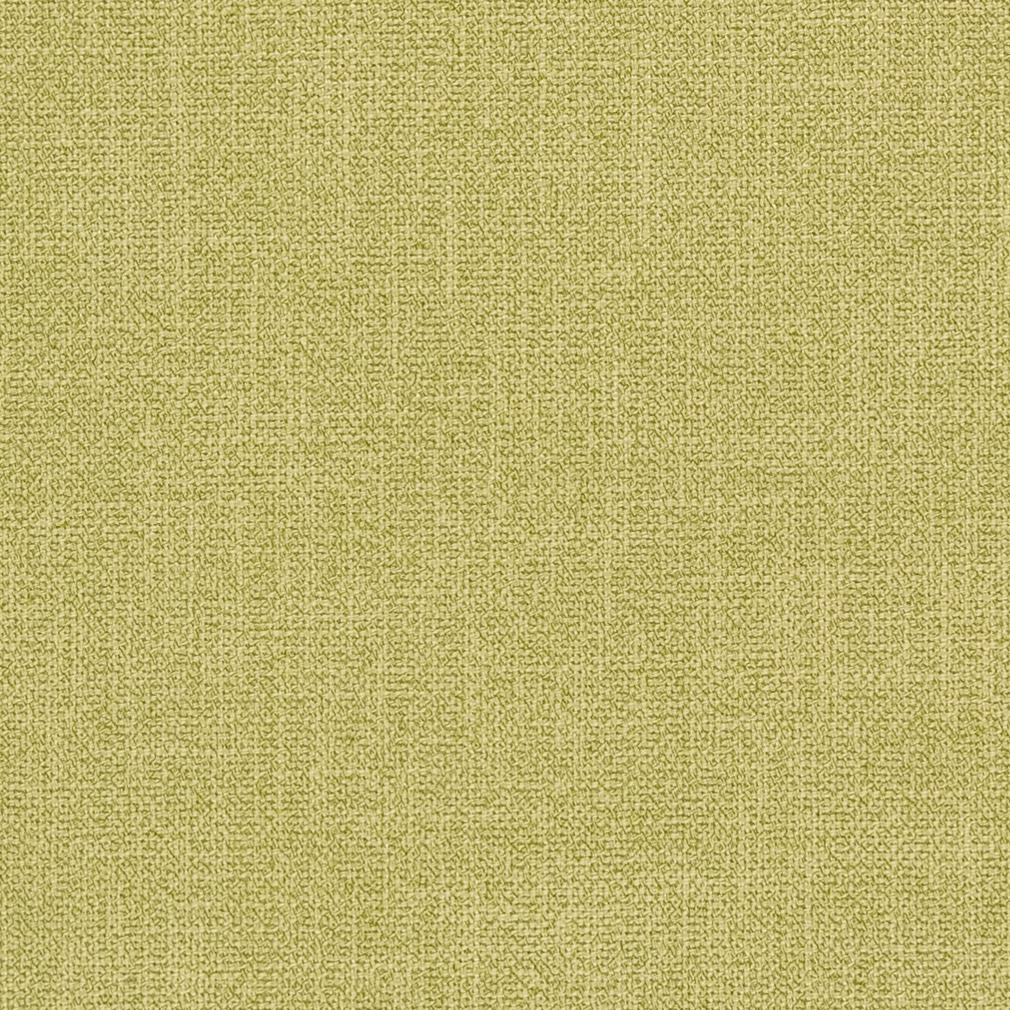 CB600-113 Plain & Solid nan Green Charlotte Colors