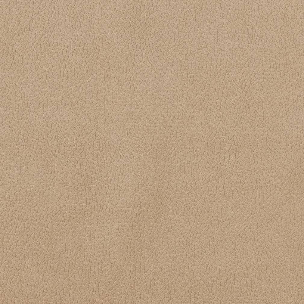CB600-156 Plain & Solid nan Brown Charlotte Colors