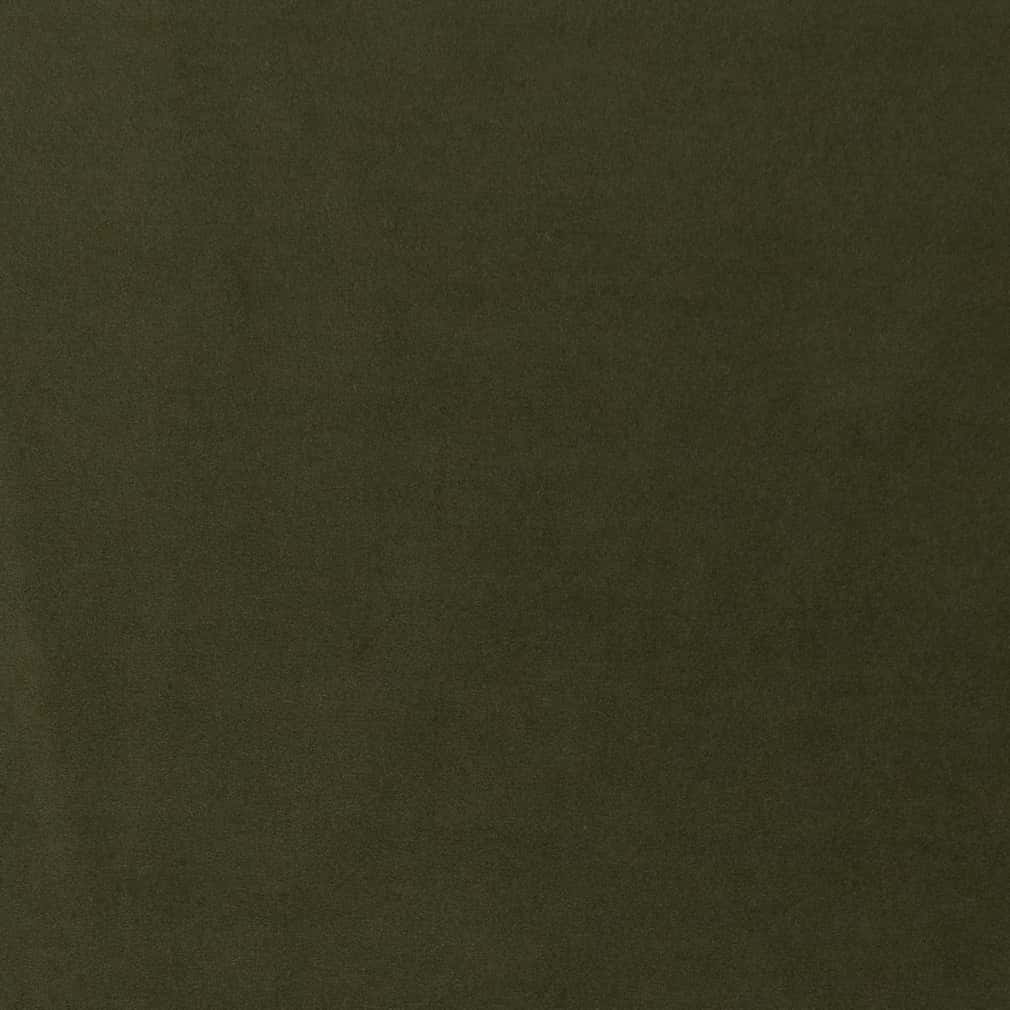 CB600-219 Plain & Solid nan Green Charlotte Colors