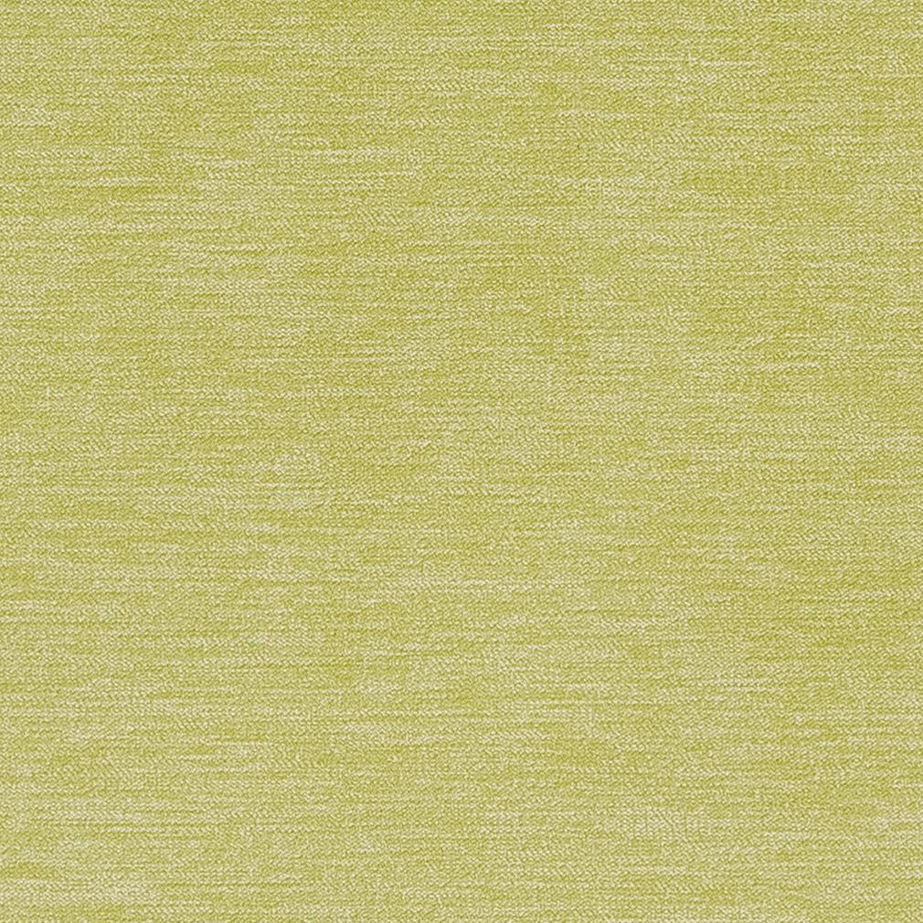 CB700-282 Plain & Solid nan Green Charlotte Colors