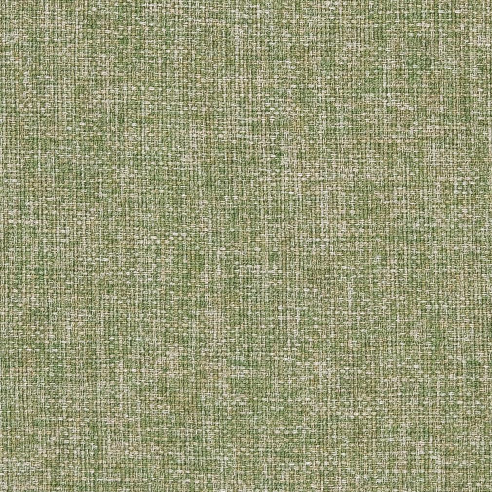 CB700-343 Plain & Solid nan Green Charlotte Colors
