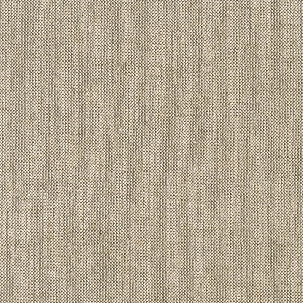 CB800-374 Plain & Solid nan Green Charlotte Colors