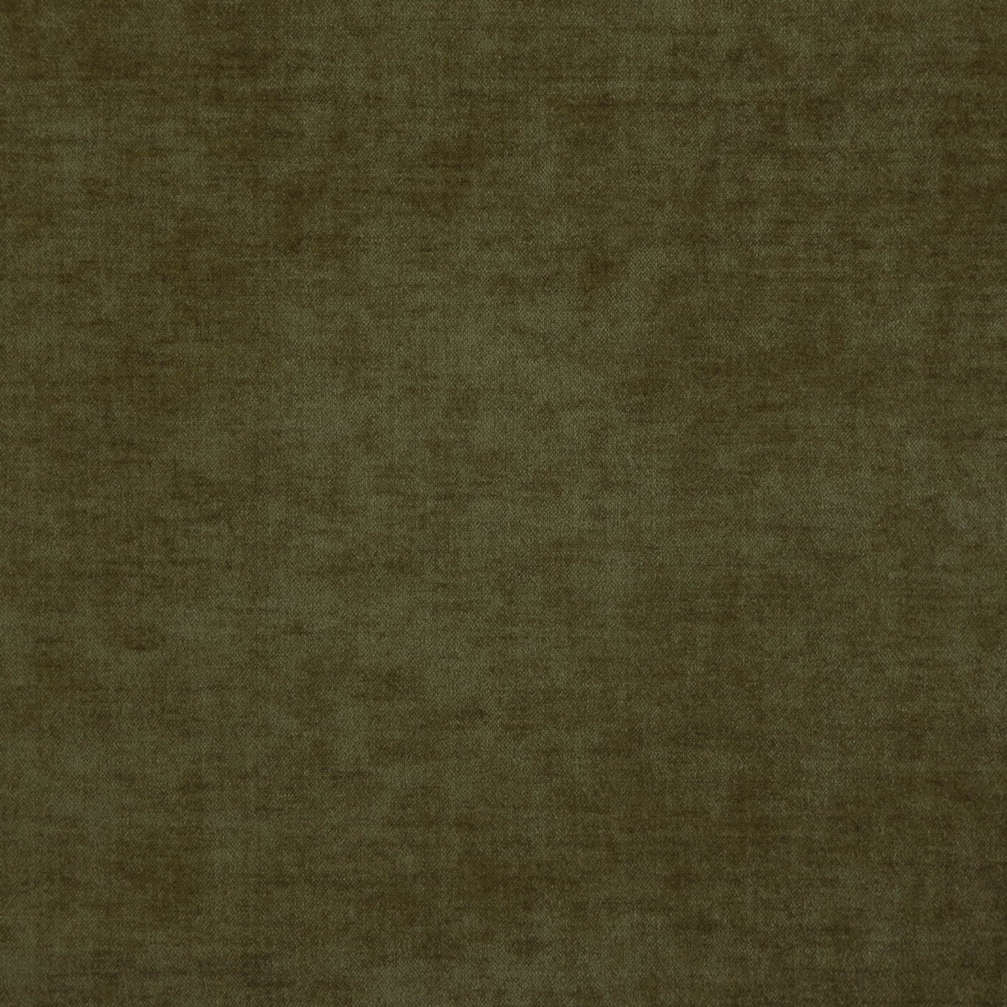 CDN1639 Maxwell CHENILLES SOLIDS/TEXTURES # 1639 OLIVE CURLEDUPIII