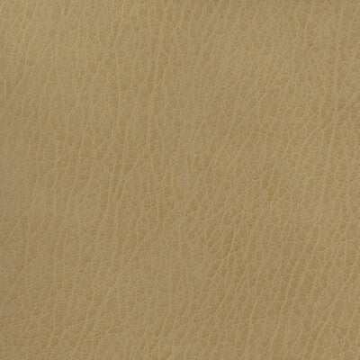 CELINE-106 KRAVET BASICS CELINE-106 KRAVET BASICS UPHOLSTERY