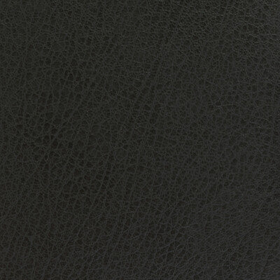 CELINE-21 KRAVET BASICS CELINE-21 KRAVET BASICS UPHOLSTERY