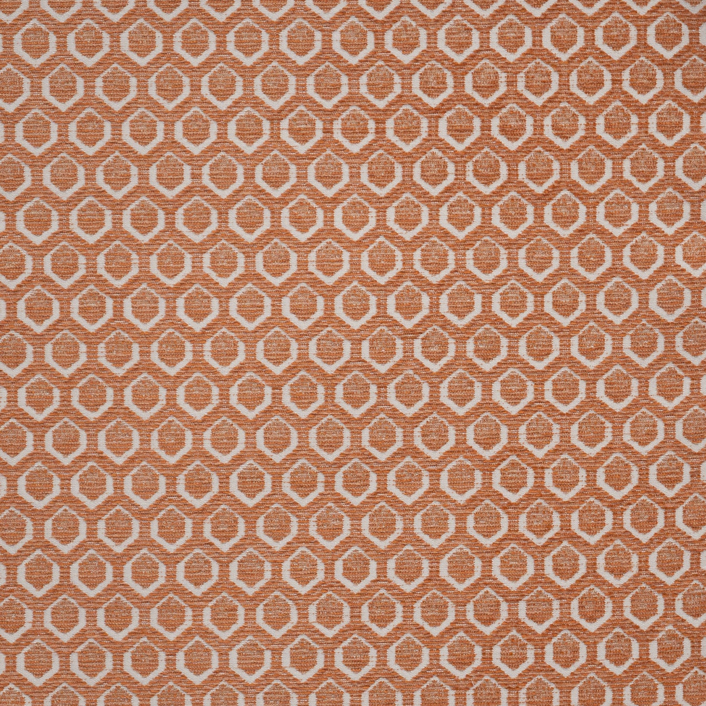 CIF804 Maxwell UPHOLSTERY PATTERNS # 804 CARNATION PW-RHUBARB