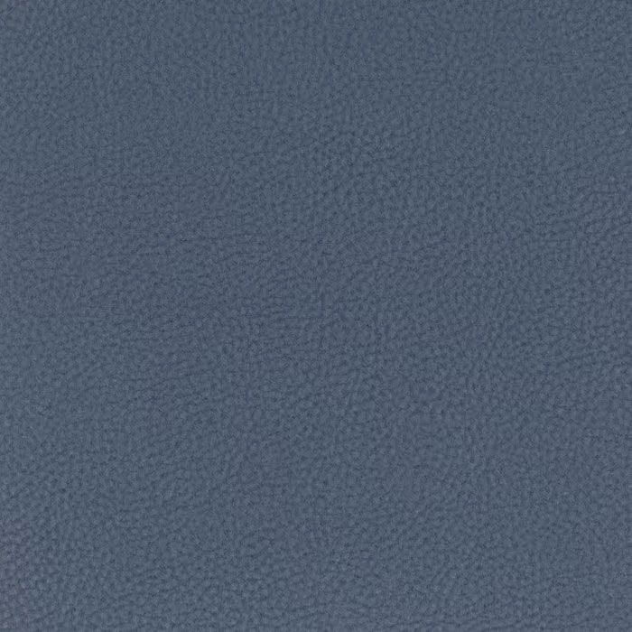 CLAS-1 STOUT CLASSIC 1 BLUEBERRY BLUEBERRY UPHOLSTERY