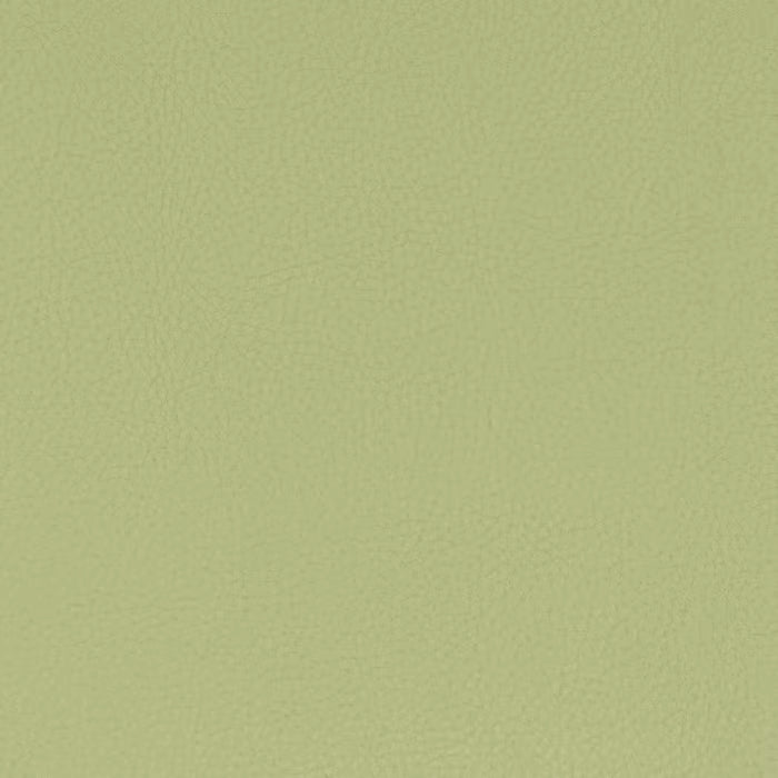 CLAS-8 STOUT CLASSIC 8 PISTACHIO PISTACHIO UPHOLSTERY