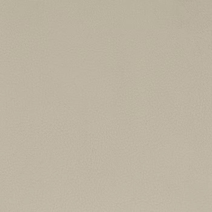 CLAS-9 STOUT CLASSIC 9 PUTTY PUTTY UPHOLSTERY